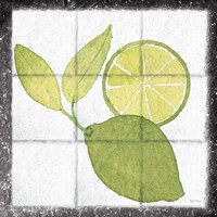 Framed 'Citrus Tile VII Black Border' border=