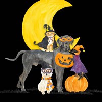 Framed 'Fright Night Friends II Dog with Pumpkin' border=