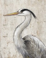 Framed 'Grey Heron II' border=