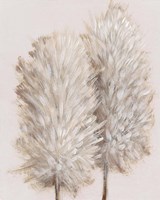 Framed 'Pampas Grass III' border=