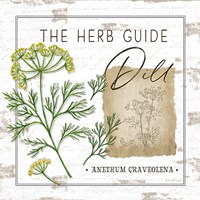 Framed 'Herb Guide - Dill' border=