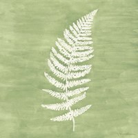 Framed 'Forest Ferns III' border=