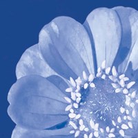 Framed 'Flower Pop blue I' border=