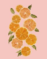 Framed 'Spring Citrus I' border=