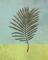 Framed 'Palm Leaf' border=