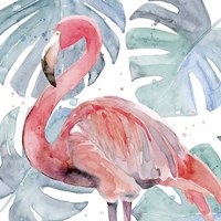 Framed 'Flamingo Splash II' border=