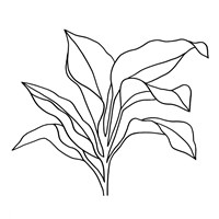 Framed 'Foliage Contour I' border=