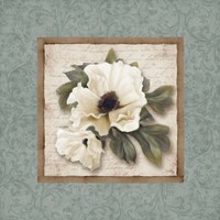 Framed 'Silversage Flower I' border=