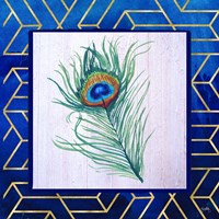 Framed 'Peacock Feather II' border=