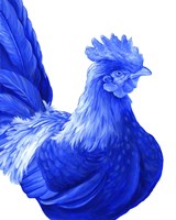 Framed 'Blue Rooster I' border=