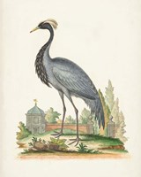 Framed 'Antique Heron & Cranes II' border=