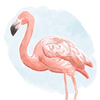 Framed 'Tropical Flamingo I' border=