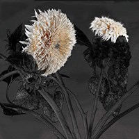 Framed 'Sunflowers I' border=