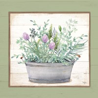 Framed 'Pot of Herbs I' border=