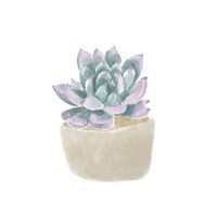 Framed 'Simple Succulent IV' border=