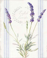 Framed 'Floursack Lavender IV' border=