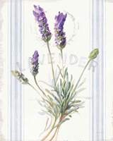 Framed 'Floursack Lavender III' border=