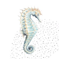 Framed 'Turquoise Seahorse' border=