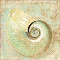 Framed 'Beach Nautilus I' border=