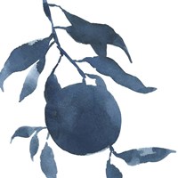 Framed 'Indigo Oranges III' border=