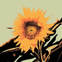 Framed 'Pop Art Sunflower II' border=