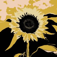 Framed 'Pop Art Sunflower IV' border=