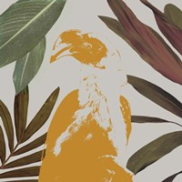 Framed 'Graphic Tropical Bird II' border=