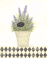 Framed 'Lavender Serenity' border=