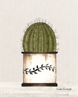 Framed 'Round Cactus' border=