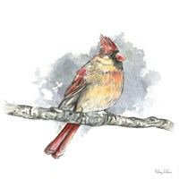 Framed 'Birds & Branches II-Female Cardinal' border=