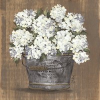 Framed 'Heavenly Hydrangeas I' border=