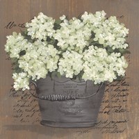 Framed 'Heavenly Hydrangeas II' border=