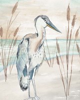 Framed 'Heron By Beach Grass I' border=