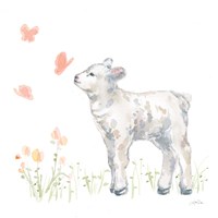 Framed 'Spring Lamb IV' border=