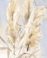 Framed 'Pampas Grasses II' border=