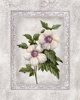 Framed 'Floral I' border=