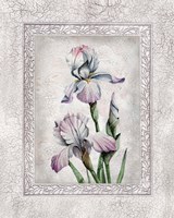 Framed 'Floral IV' border=