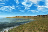 Framed Thousands of Individual Aglaophyton Populate an  Early Devonian Bay