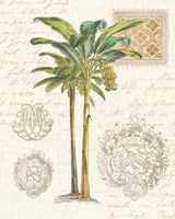 Framed 'Vintage Palm Study I' border=