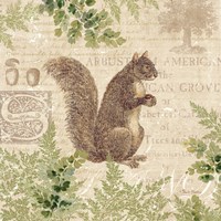 Framed 'Woodland Trail III (Squirrel)' border=