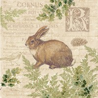 Framed 'Woodland Trail IV (Rabbit)' border=