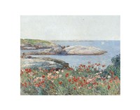 Framed Poppies, Isles of Shoals, 1891