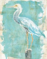 Framed 'Coastal Egret II' border=