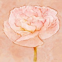 Framed 'Sweet Peach Poppy II' border=