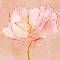 Framed 'Sweet Peach Poppy III' border=