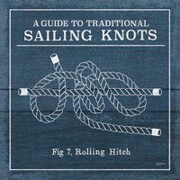 Framed 'Vintage Sailing Knots VIII' border=