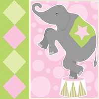 Framed 'Baby Big Top IX Pink' border=