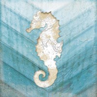 Framed 'Coastal Seahorse' border=