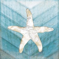 Framed 'Coastal Starfish' border=