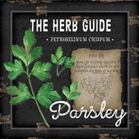 Framed 'Herb Guide Parsley' border=